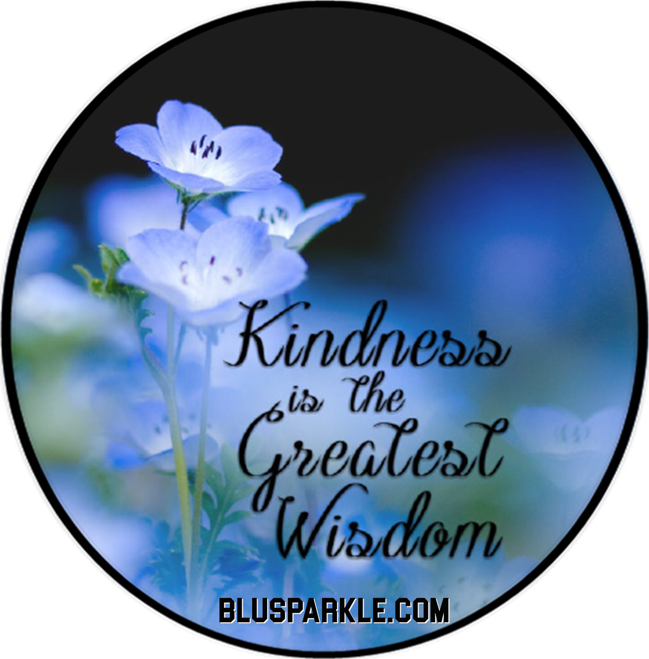 Kindness Is The Greatest Wisdom Wise Expression Magnet