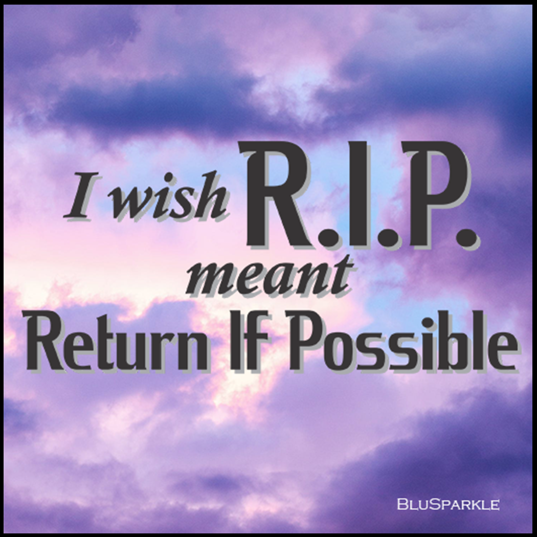 I Wish R.I.P. Meant Return If Possible Wise Expression Sticker