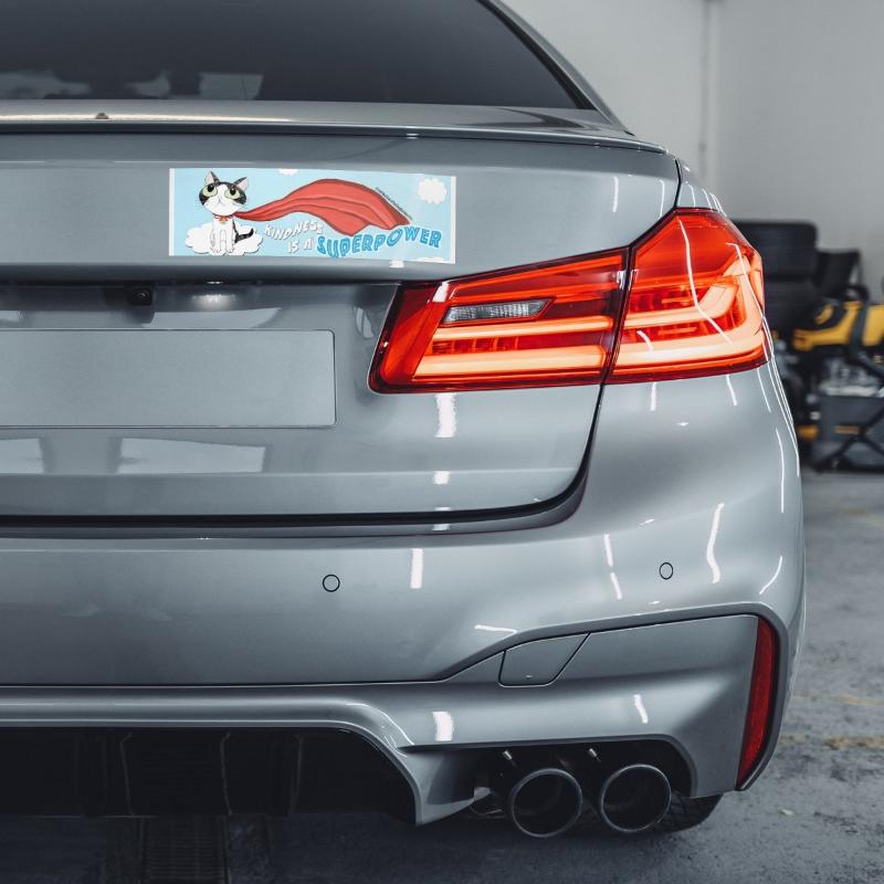 Animal Advocacy Kindness Is a Superpower Kitty Bumper Sticker - BluSparkle