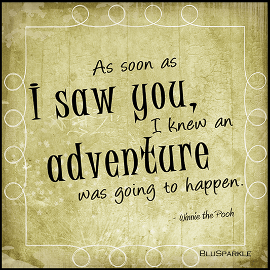 As soon as I saw you, I knew an adventure was going to happen Wise Expression Magnet - BluSparkle