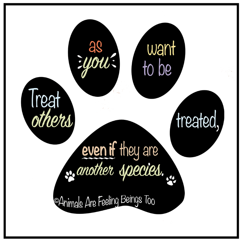 Special Paw Print Magnet - BluSparkle