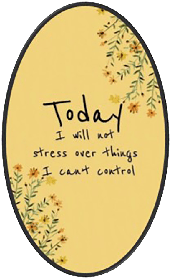 Today I Will Not Stress Over Things I Can't Control - Wise Expression Magnet - BluSparkle