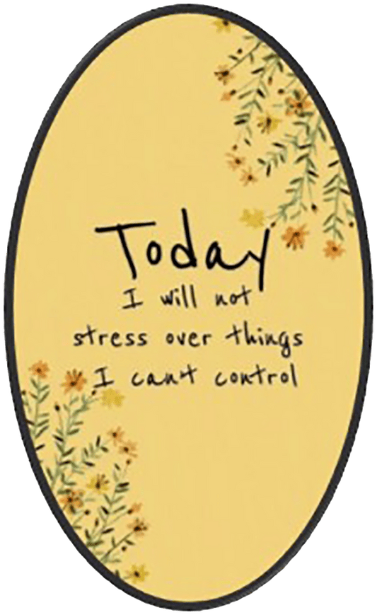 Today I Will Not Stress Over Things I Can't Control Wise Expression Sticker - BluSparkle